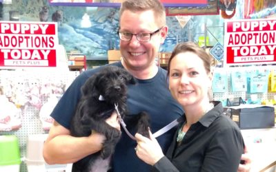 Another Life Saved – Lancelot