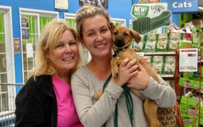 Another Life Saved – Midnight