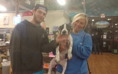 Another Life Saved – Vinnie