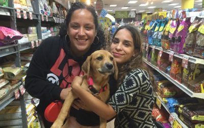 Another Life Saved – June