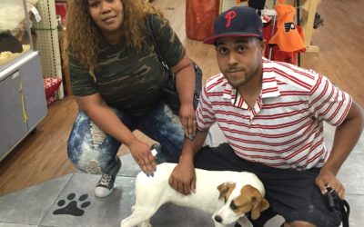 Another Life Saved – Hank