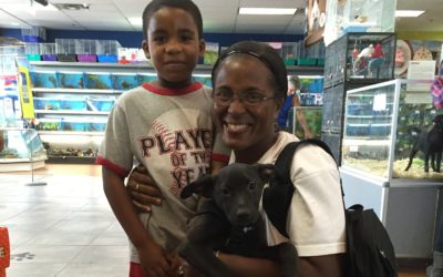 Another Life Saved – Ganan