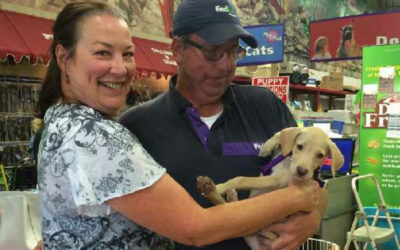Another Life Saved – Buffy
