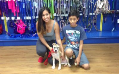 Another Life Saved – Sammie