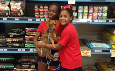 Another Life Saved – Hummus