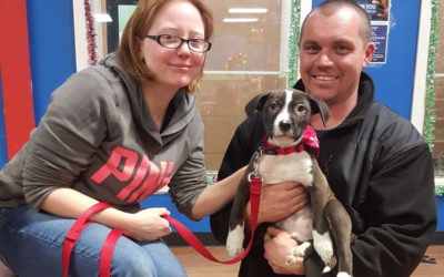 Another Life Saved – Bubbie