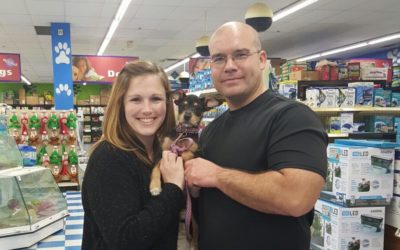 Another Life Saved – Tinkerbell