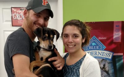 Another Life Saved – Roscoe