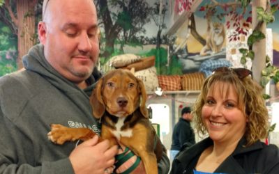 Another Life Saved – Wyatt