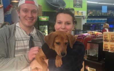 Another Life Saved – Cookies (now Oakley)