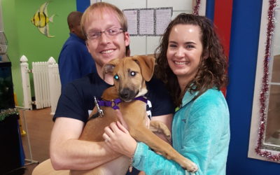 Another Life Saved – Joey
