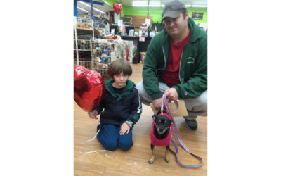 Another Life Saved – Scarlett