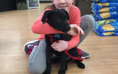 Another Life Saved – Sparky (now Bandit)