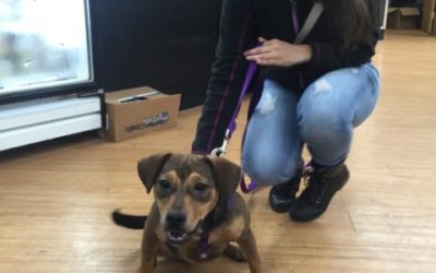 Another Life Saved – Winnie