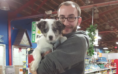 Another Life Saved – June