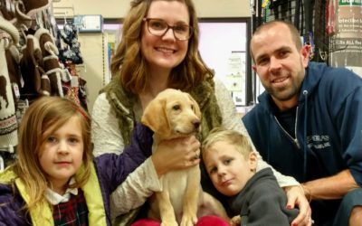 Another Life Saved – Lowry