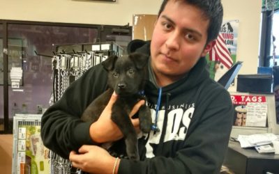 Another Life Saved – Armel