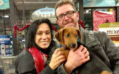 Another Life Saved – Lucas