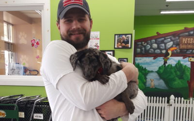 Another Life Saved – Nala