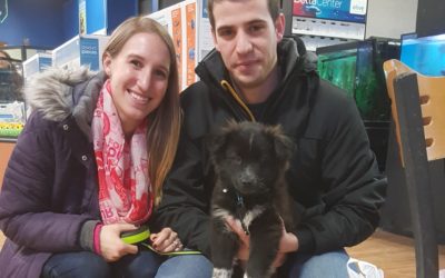 Another Life Saved – Toby