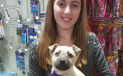 Another Life Saved – Noodles