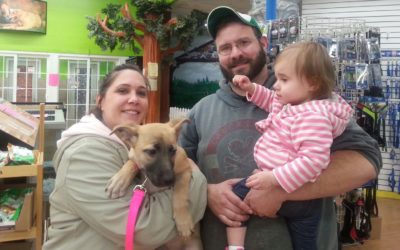 Another Life Saved – Carrie