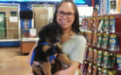 Another Life Saved – Zander