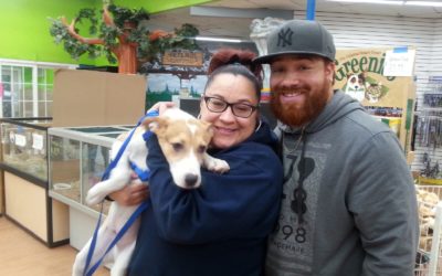 Another Life Saved – Charlie