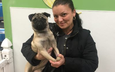 Another Life Saved – Smoky