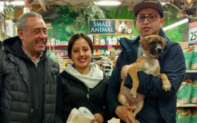 Another Life Saved – Brutus