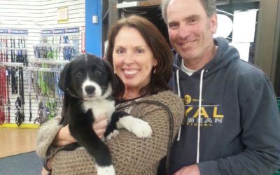 Another Life Saved – Adrianne