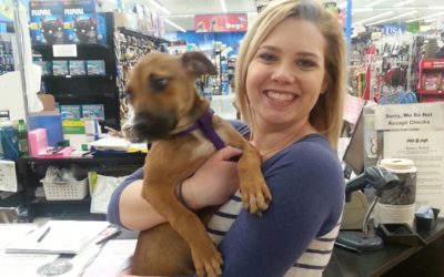 Another Life Saved – Alice