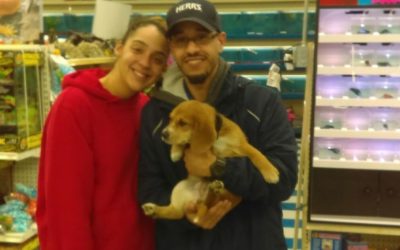 Another Life Saved – Amour