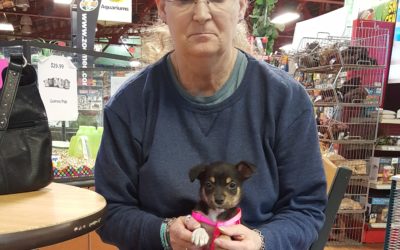 Another Life Saved – Amy