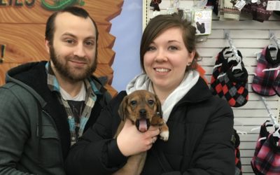 Another Life Saved – Apple