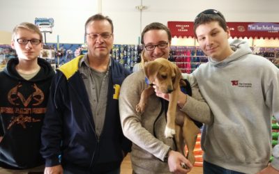 Another Life Saved – Autumn