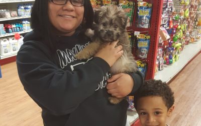 Another Life Saved – Bently