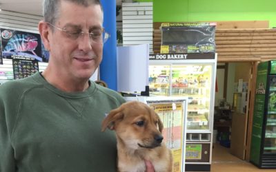 Another Life Saved – Betty (renamed Luna)