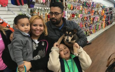 Another Life Saved – Bo