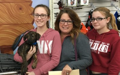Another Life Saved – Bruiser