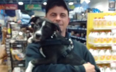 Another Life Saved – Calista