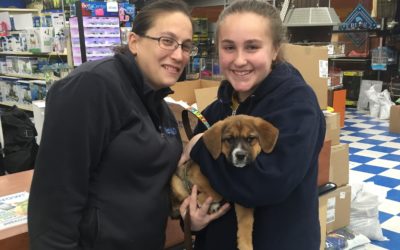 Another Life Saved – Candy
