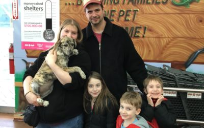 Another Life Saved – Carrie