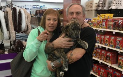 Another Life Saved – Casey