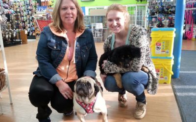 Another Life Saved – Cash