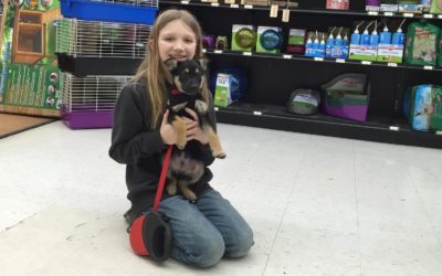 Another Life Saved – Chase