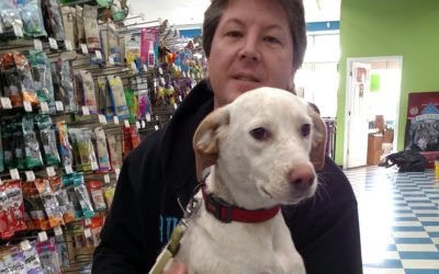 Another Life Saved – Chloe