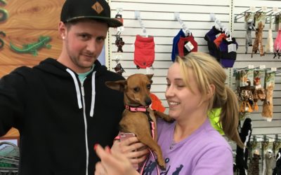 Another Life Saved – Claire