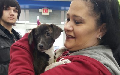 Another Life Saved – Clara