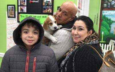 Another Life Saved – Cupid